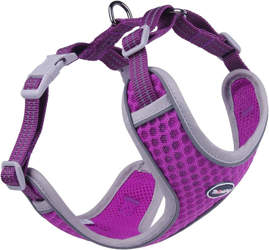 Reflective Pet Vent Harness - Color: Purple (M)