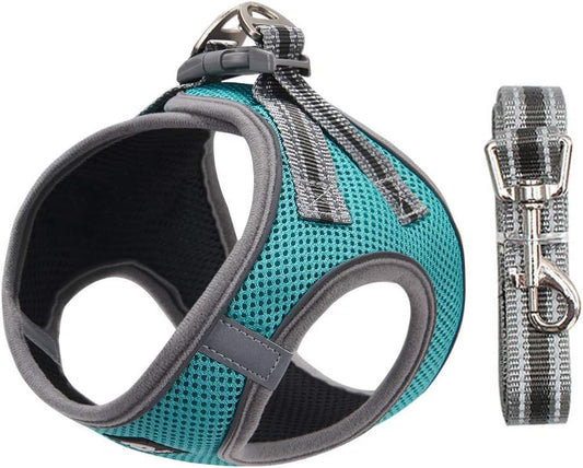 Universal reflective pet harness with leash. XS (Lake Blue)
