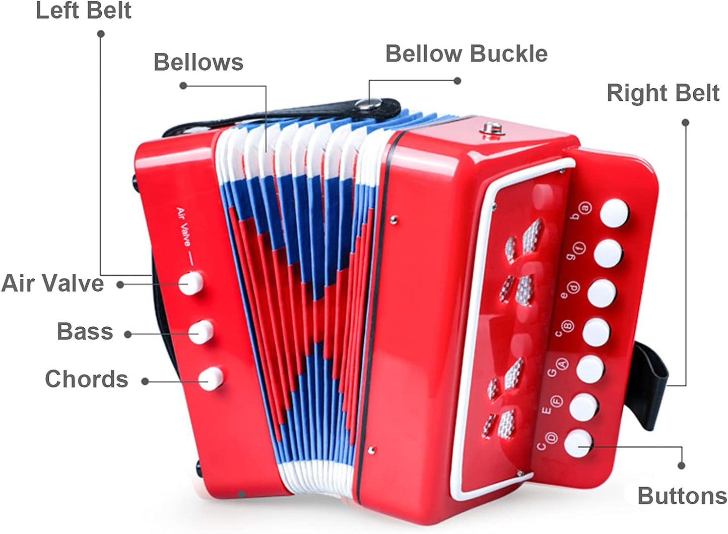 Kids Accordion, 7.5 x 4.5 x 7.5 inches, Red